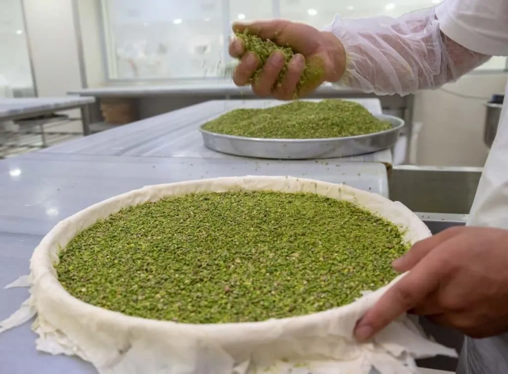 Baklava Types: 14 Best & Different Kinds of Baklava (Traditional & Exotic)