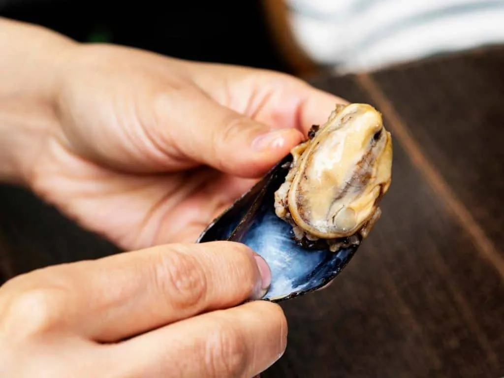 Two hands scooping the mussel and rice filling out of a stuffed mussel with its top shell